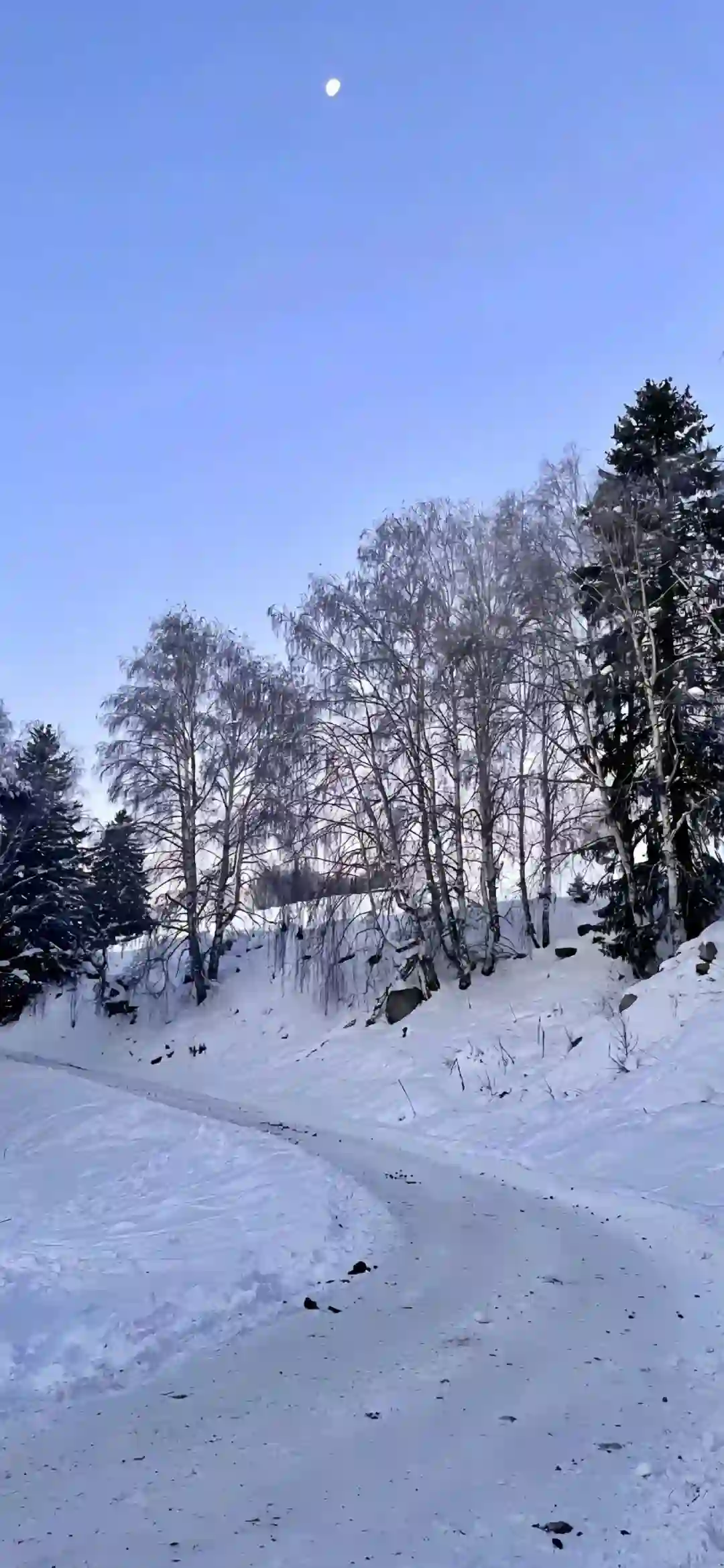 壁纸 ​​​​​​​​​​​​​| 4K全面屏超高清壁纸