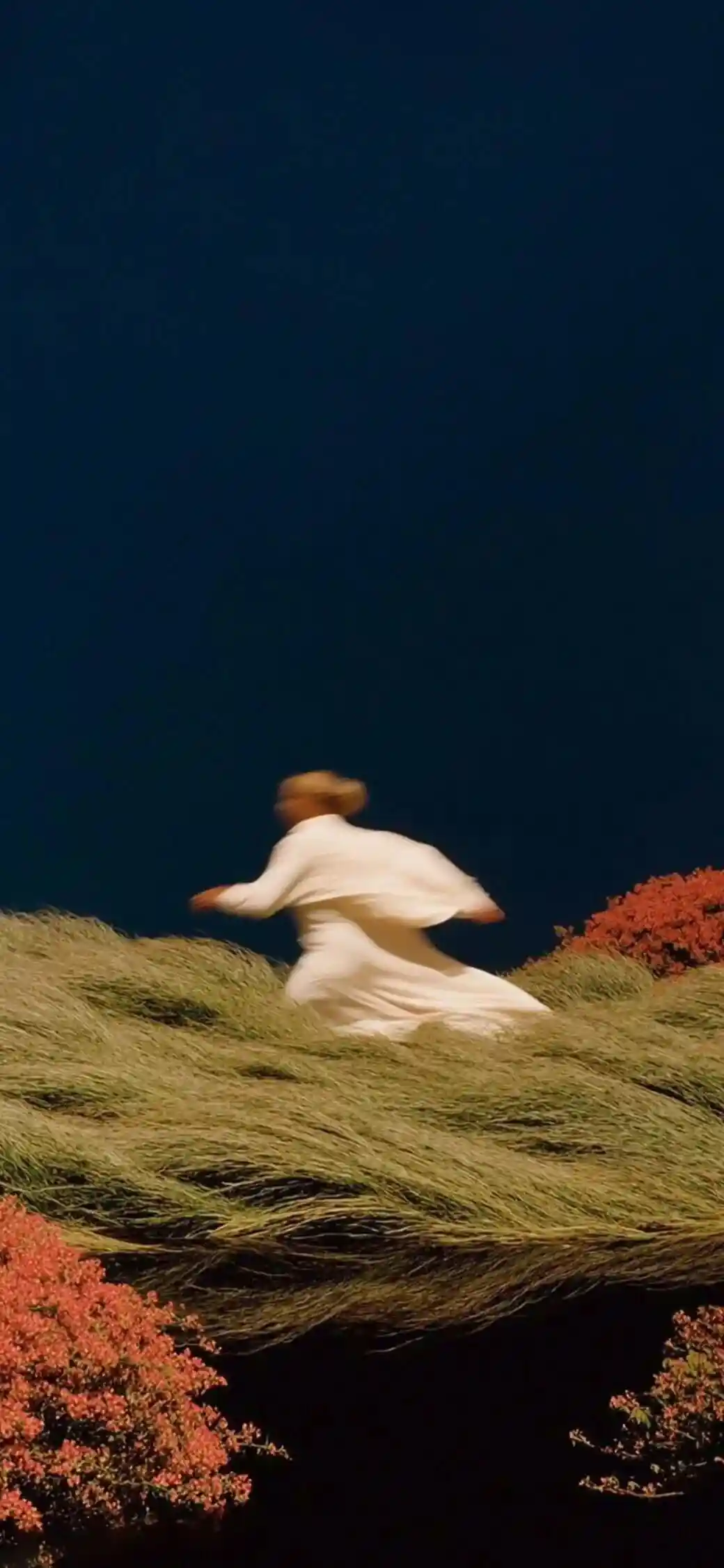 壁纸 ​​​​​​​​​​​​​| 4K全面屏超高清壁纸