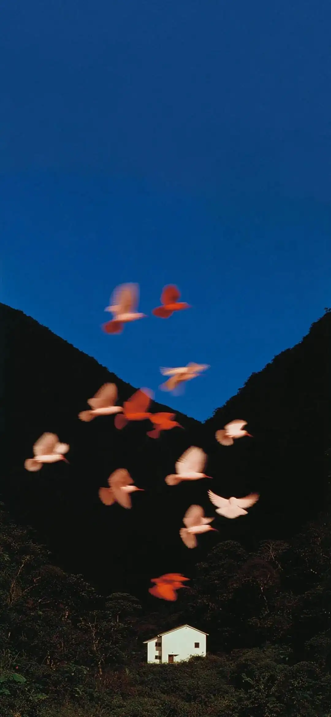 壁纸 ​​​​​​​​​​​​​| 4K全面屏超高清壁纸