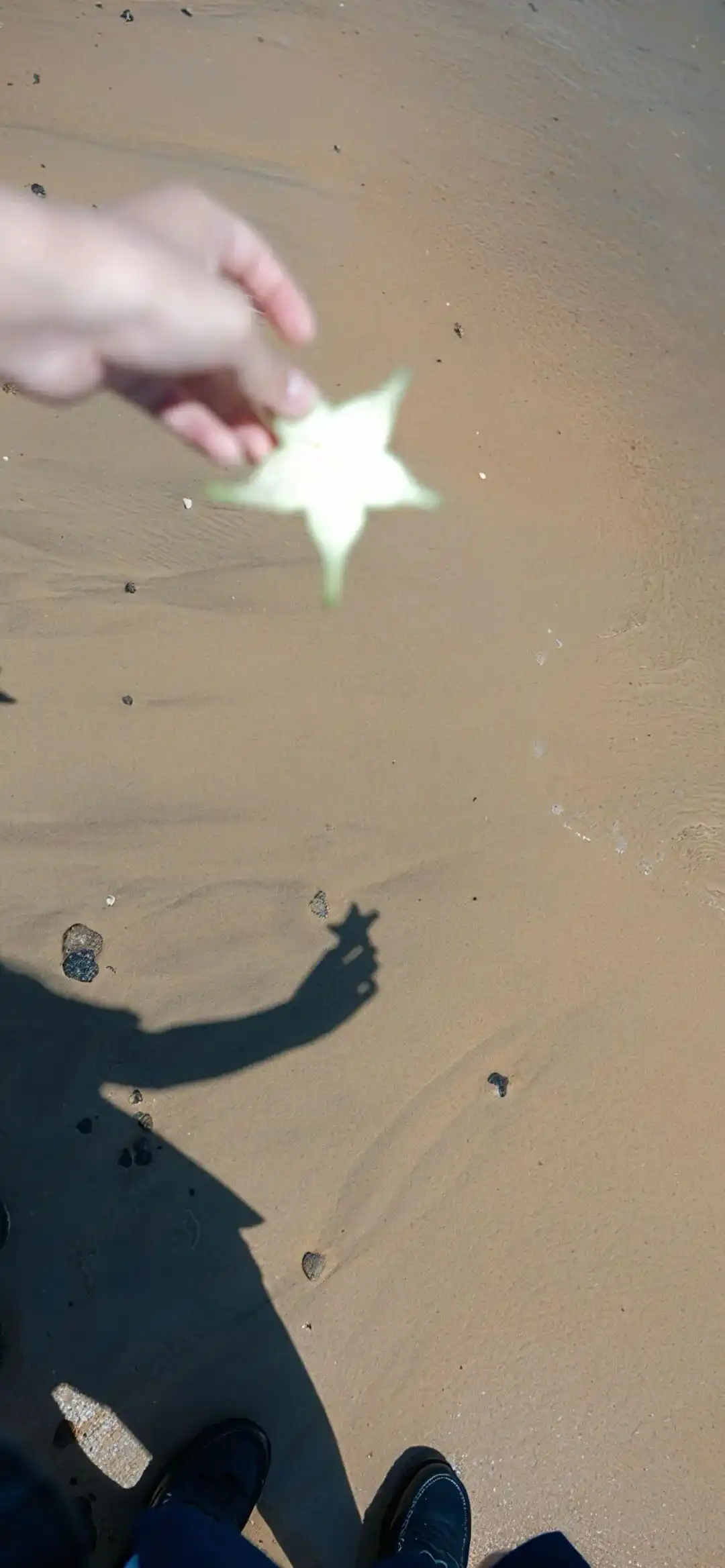 壁纸 ​​​​​​​​​​​​​| 4K全面屏超高清壁纸