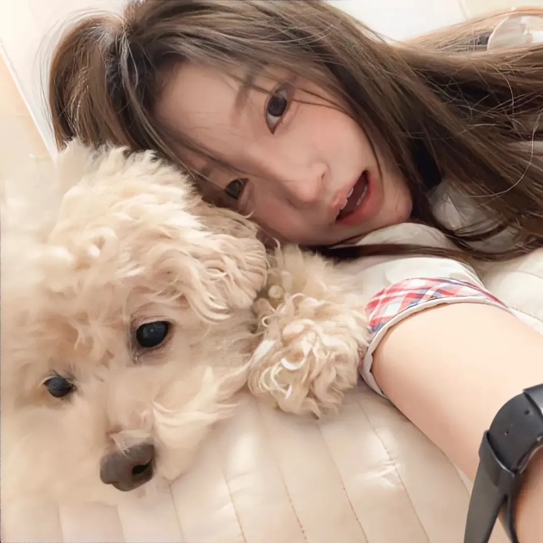 头像｜微信头像40张