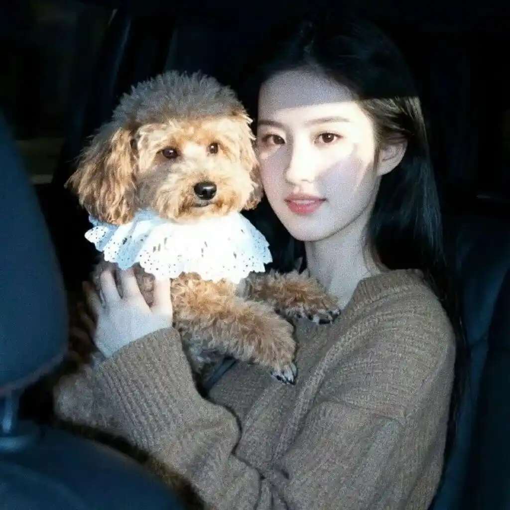 头像｜分享一些好看的头像