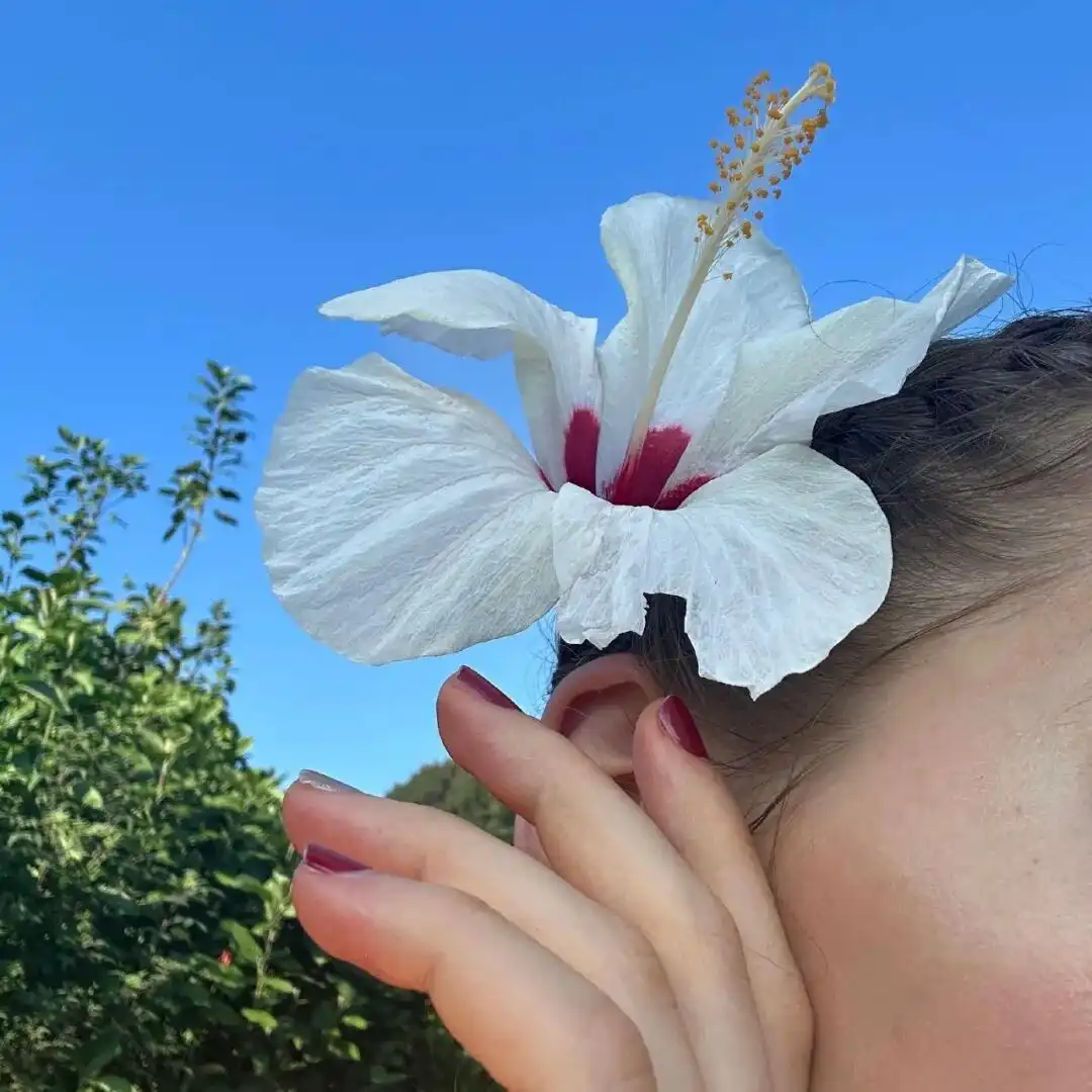 头像｜分享一些好看的头像