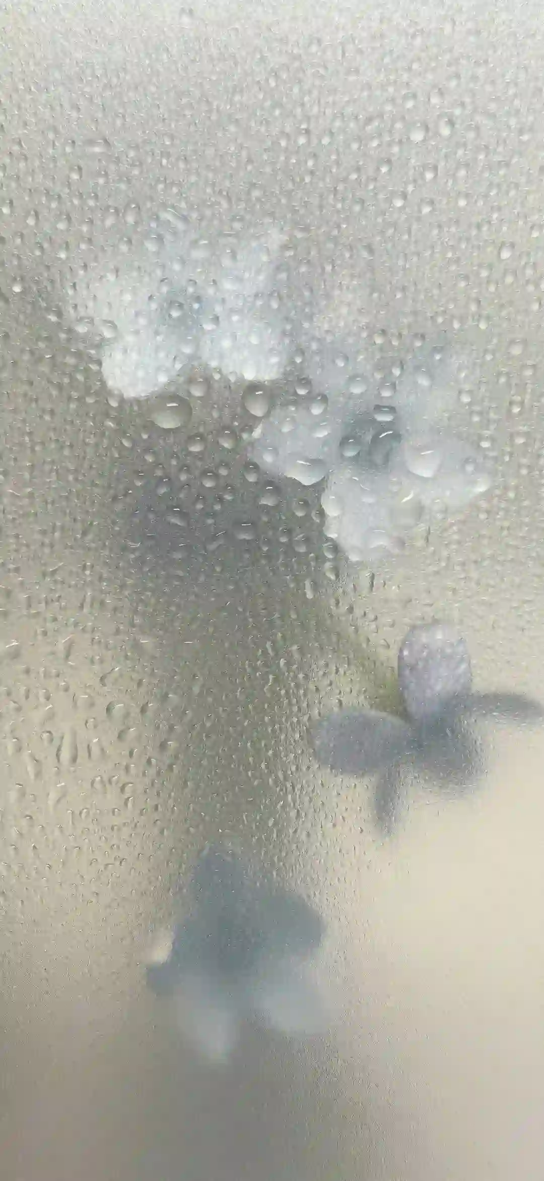 壁纸 ​​​​​​​​​​​​​| 4K全面屏超高清壁纸