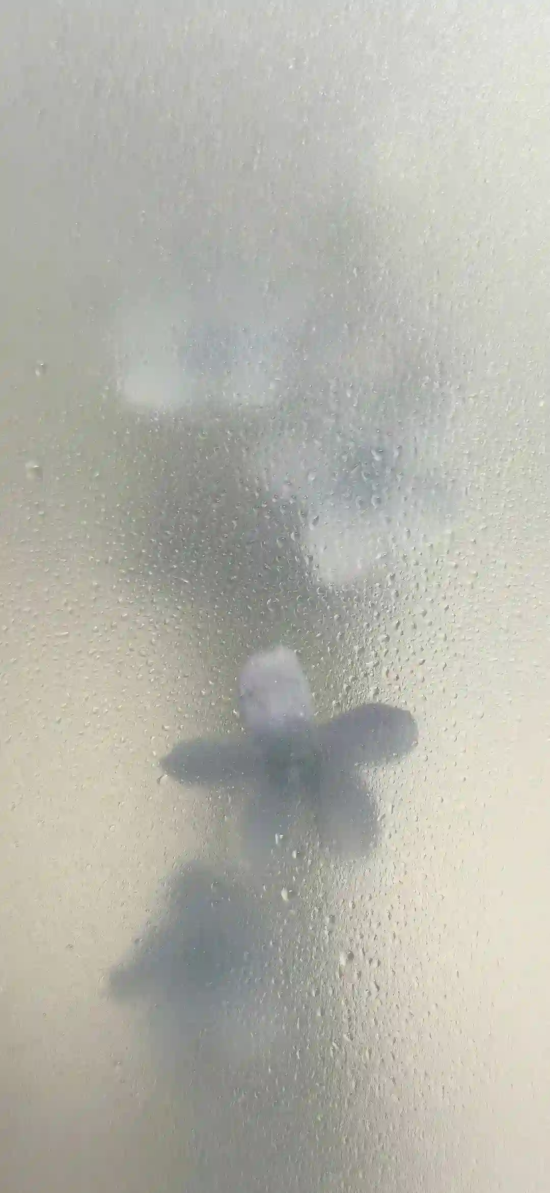 壁纸 ​​​​​​​​​​​​​| 4K全面屏超高清壁纸