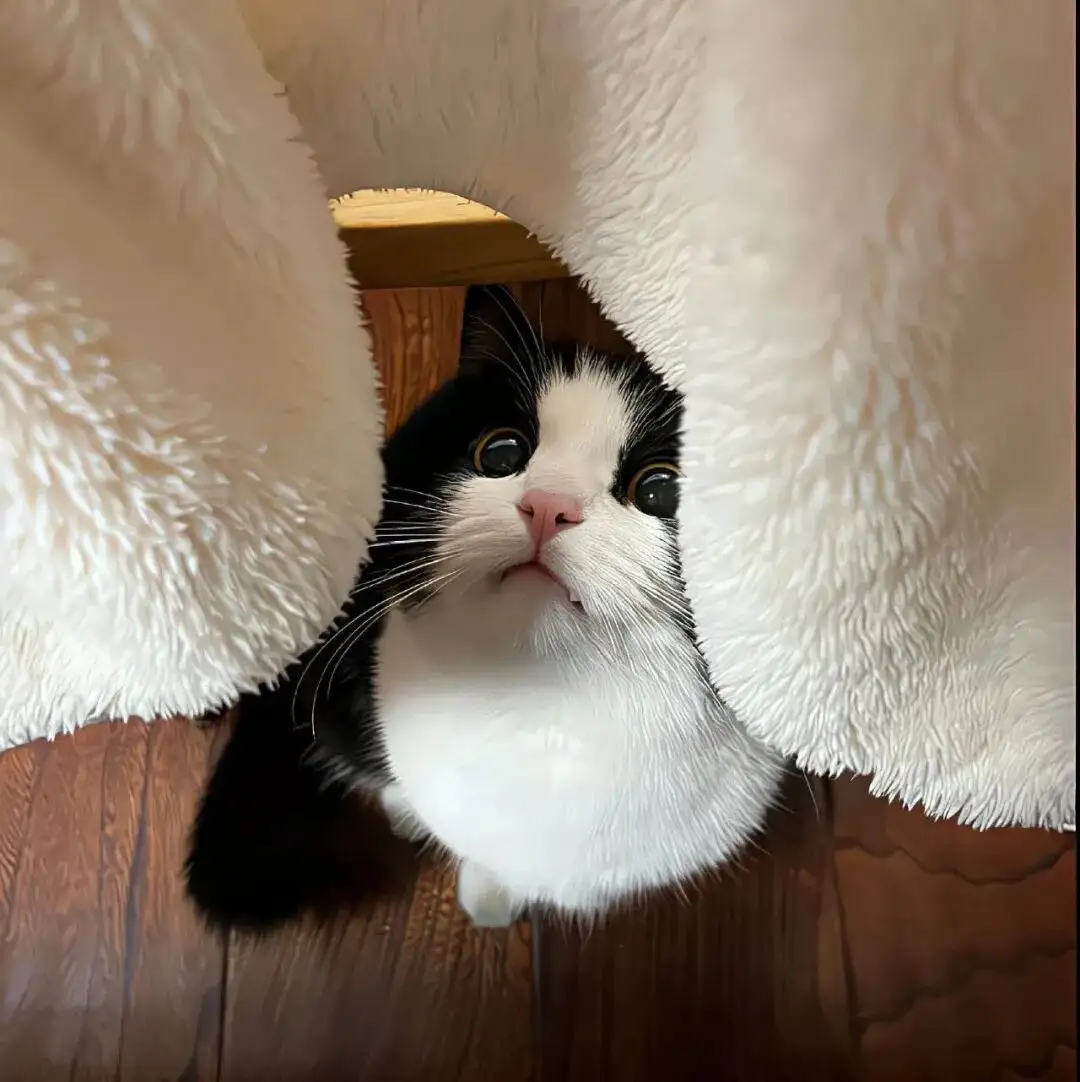 背景图 | 𝑾𝒆𝑪𝒉𝒂𝒕背景图