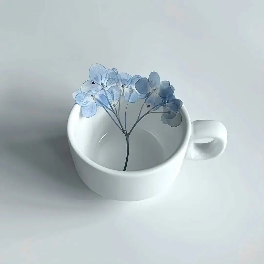 ่ๆฏๅพ | ๐พ๐๐ช๐๐๐่ๆฏๅพ