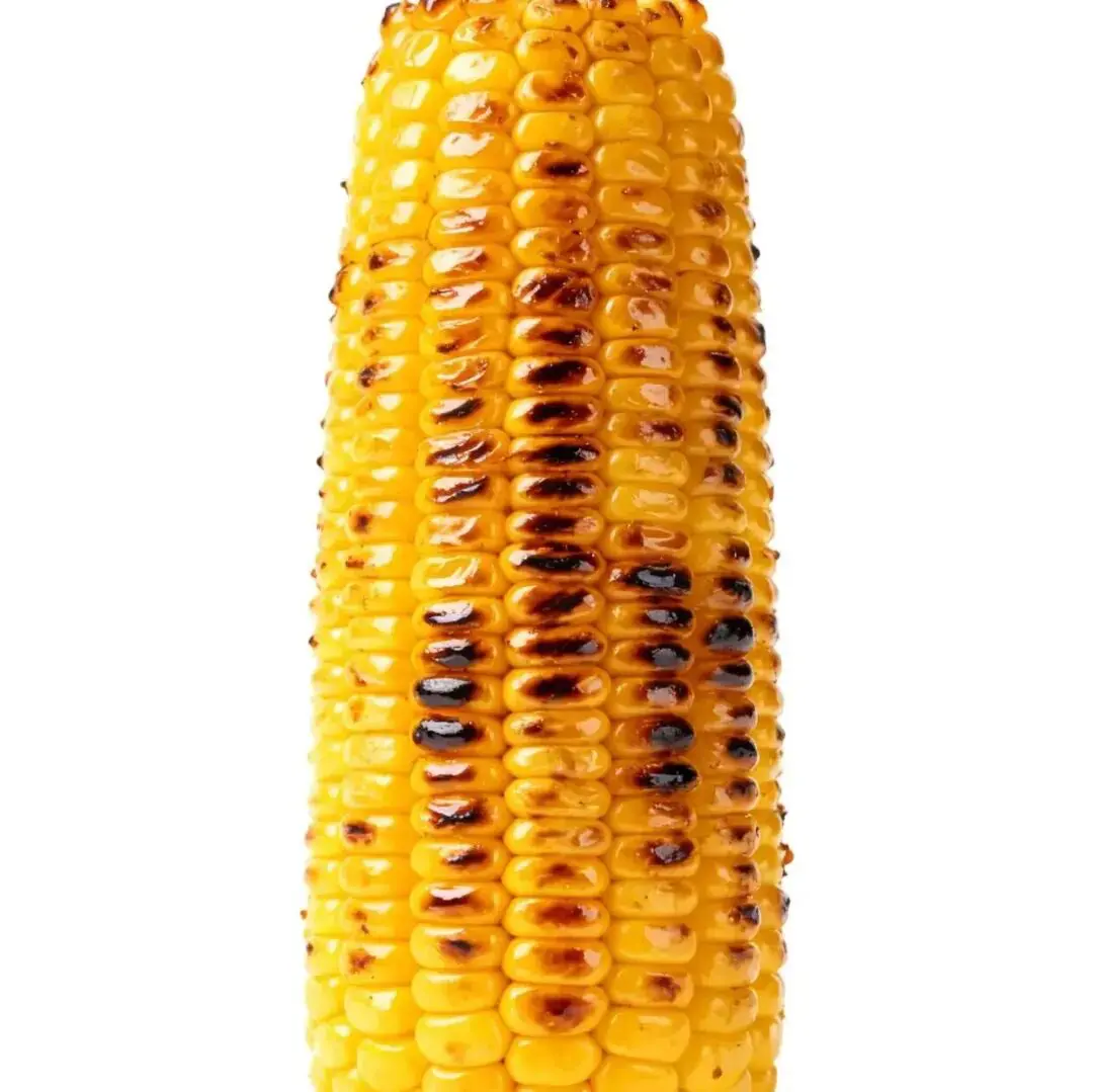 头像｜小众稀奇古怪微信头像