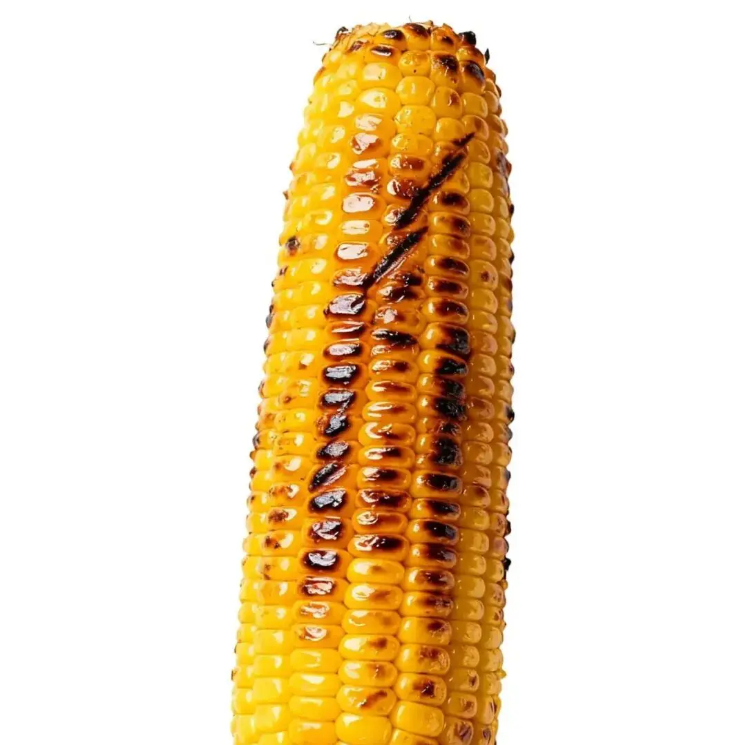 头像｜小众稀奇古怪微信头像