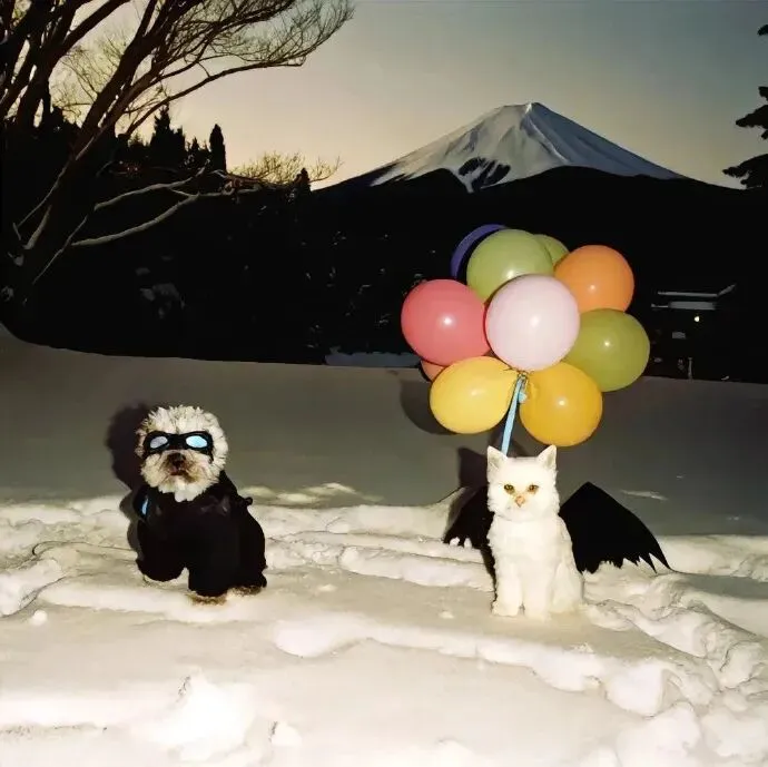 背景图 | 𝑾𝒆𝑪𝒉𝒂𝒕背景图