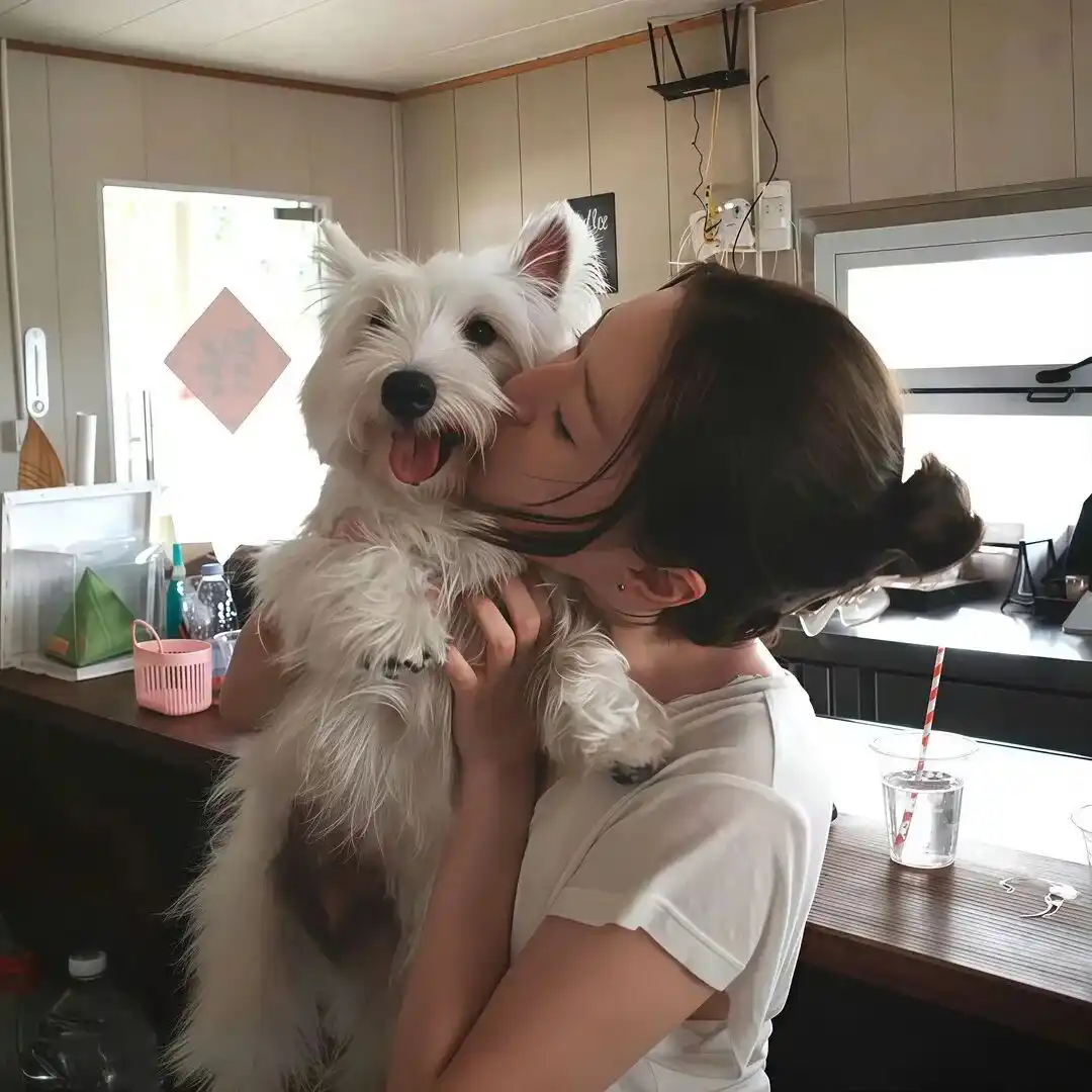 头像｜好用耐看的头像