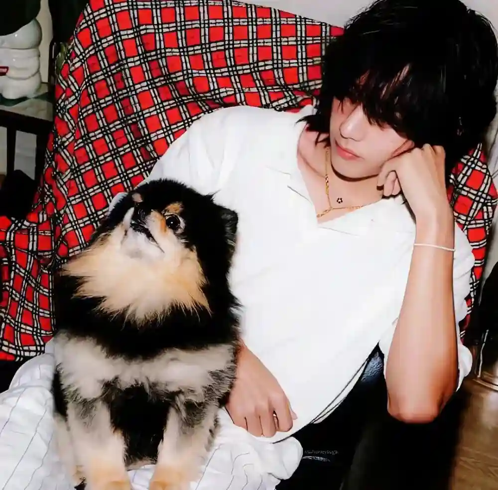 头像｜好用耐看的头像