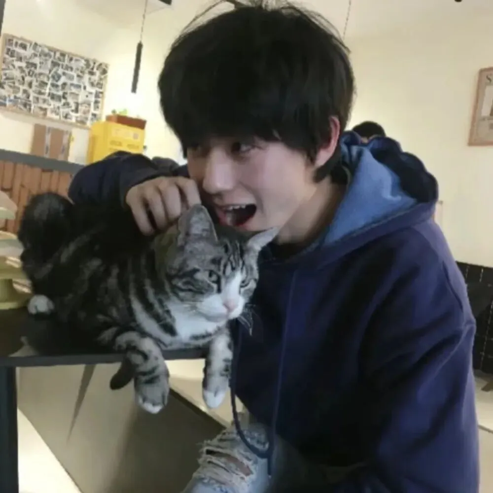 头像｜好用耐看的头像