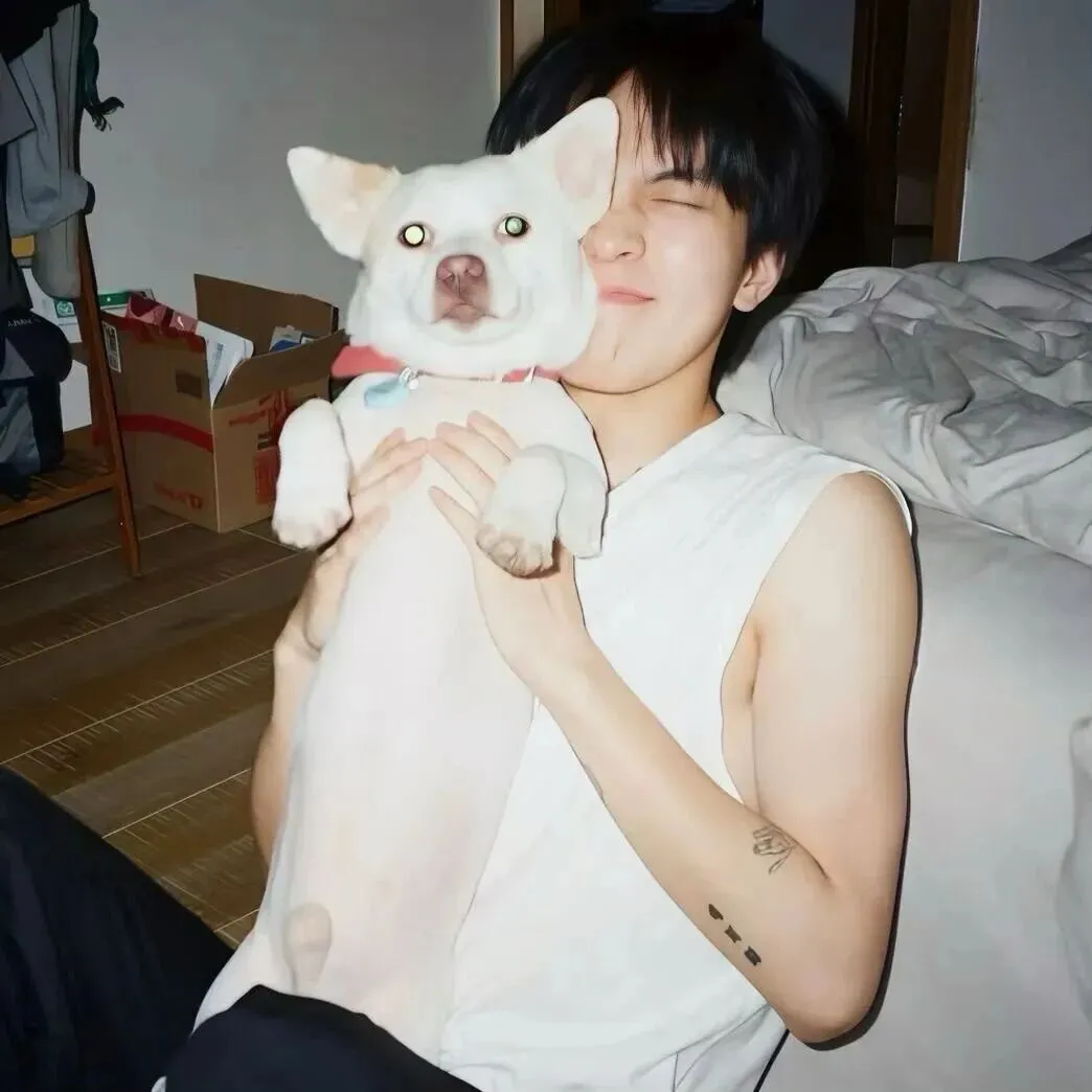 头像｜该换新头像了