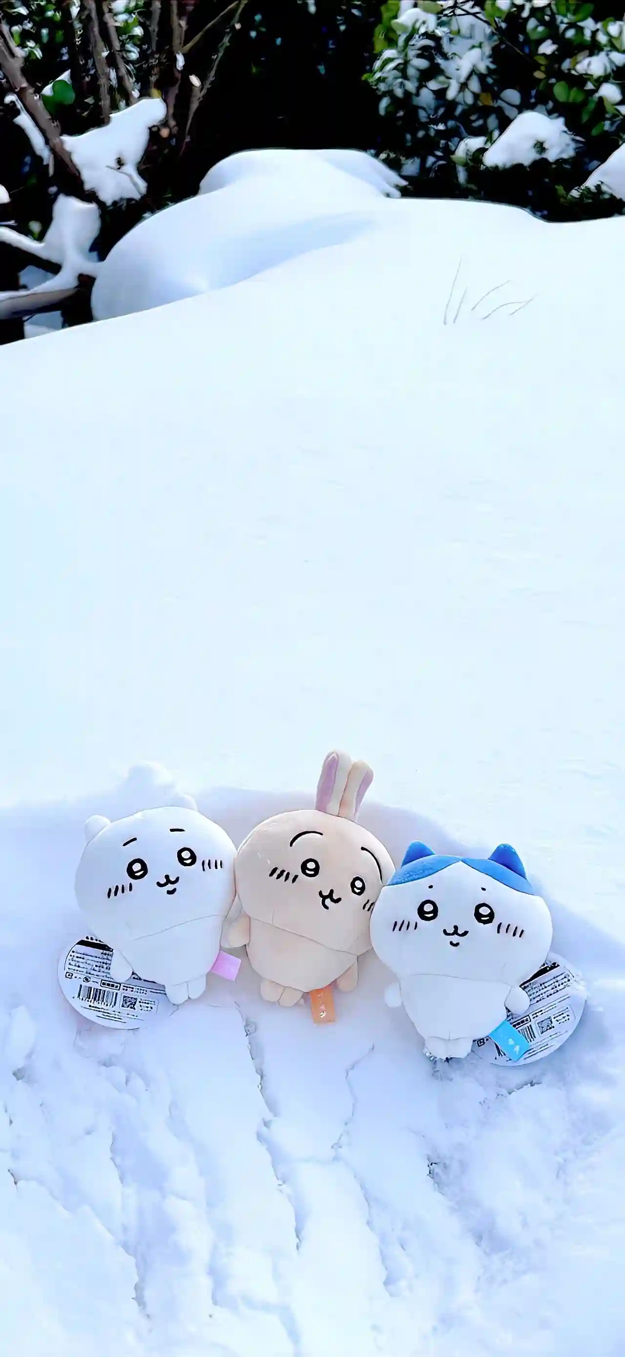 壁纸｜冬日氛围感壁纸