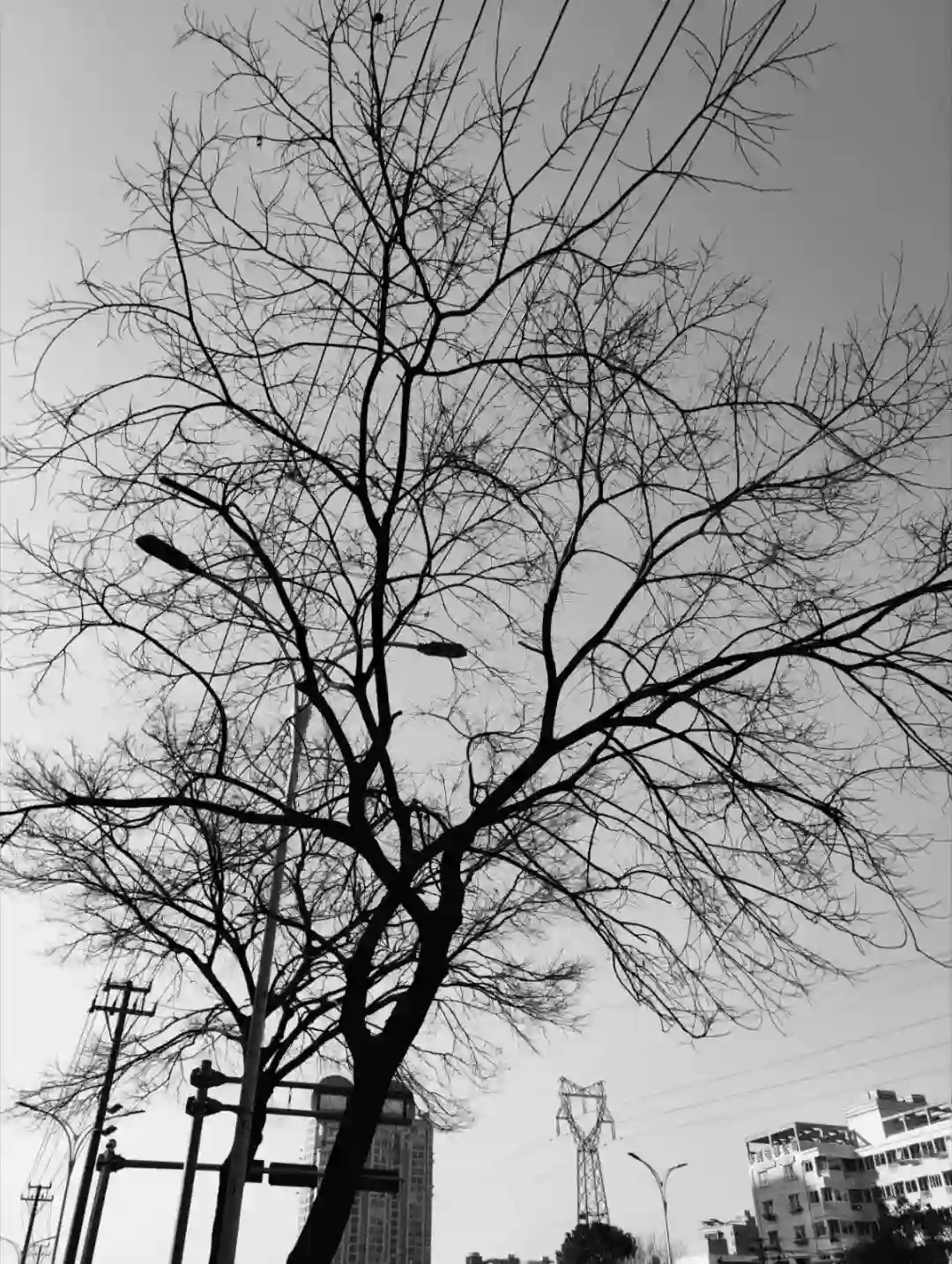 背景图 | 朋友圈の背景图