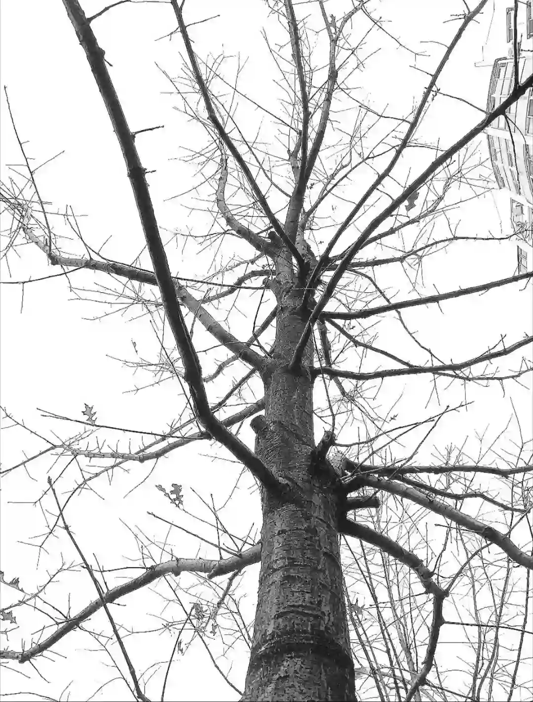 背景图 | 朋友圈の背景图