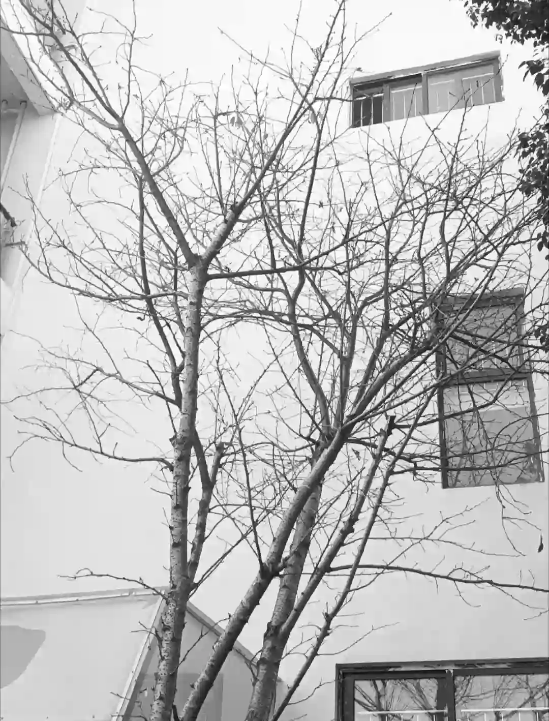 背景图 | 朋友圈の背景图