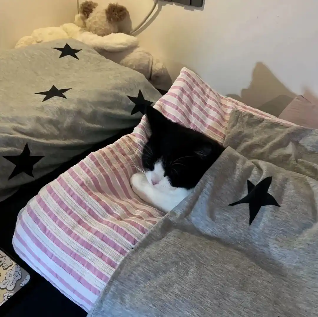 背景图 | 朋友圈の背景图