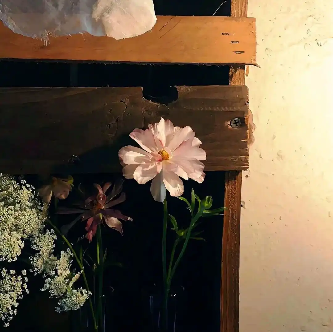 背景图 | 朋友圈の背景图