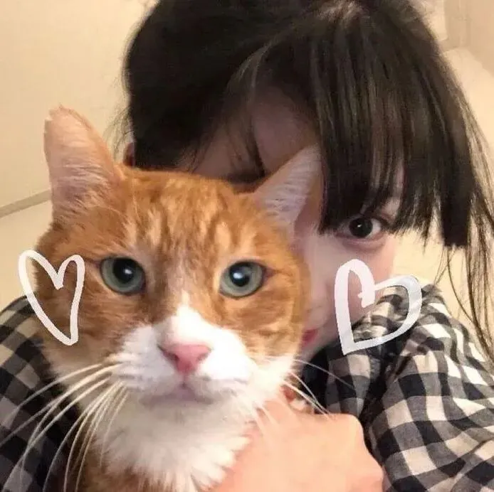 头像 | 最近爱用的秋冬氛围感头像