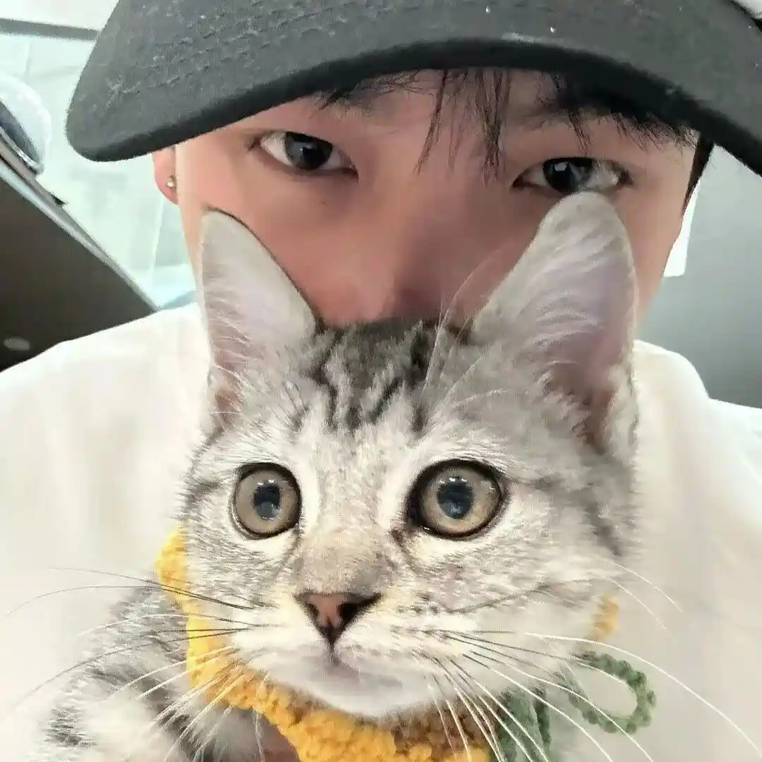 头像｜一眼爱上 有趣头像