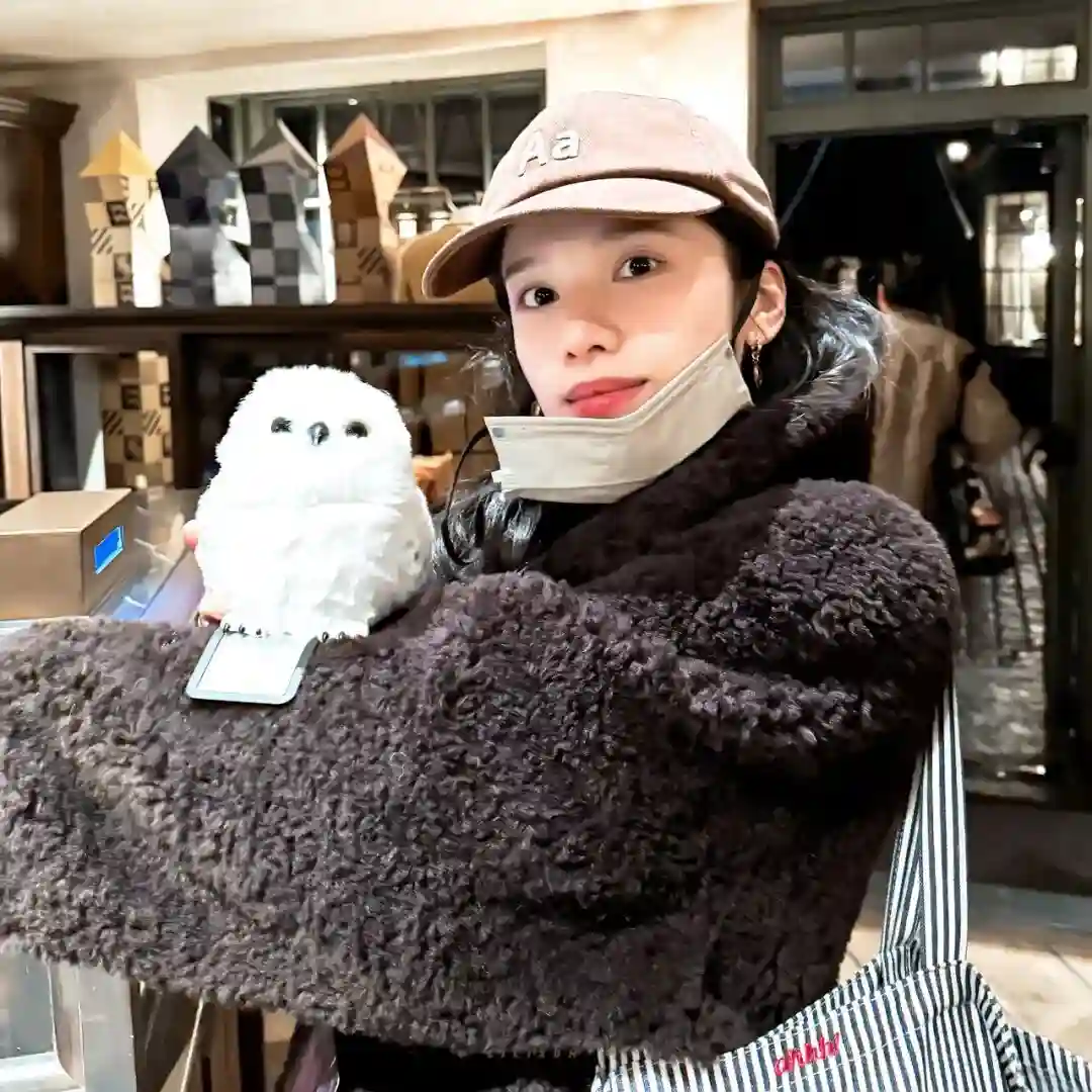 头像｜一眼爱上 有趣头像