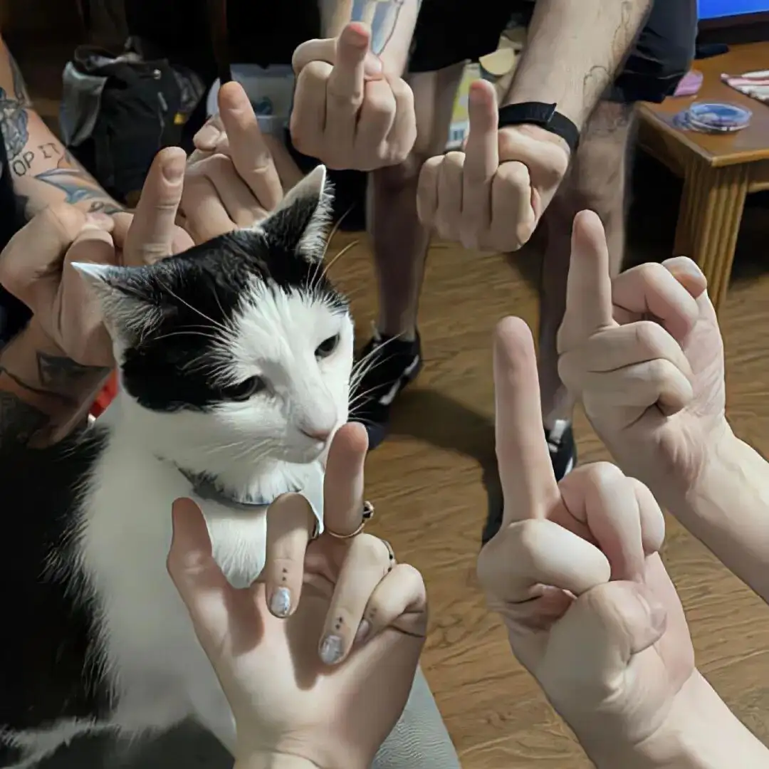 头像｜一天换八百次𝑾𝒆𝑪𝒉𝒂𝒕头像