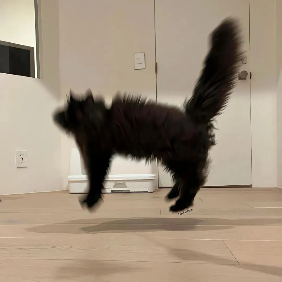 头像｜一天换八百次𝑾𝒆𝑪𝒉𝒂𝒕头像