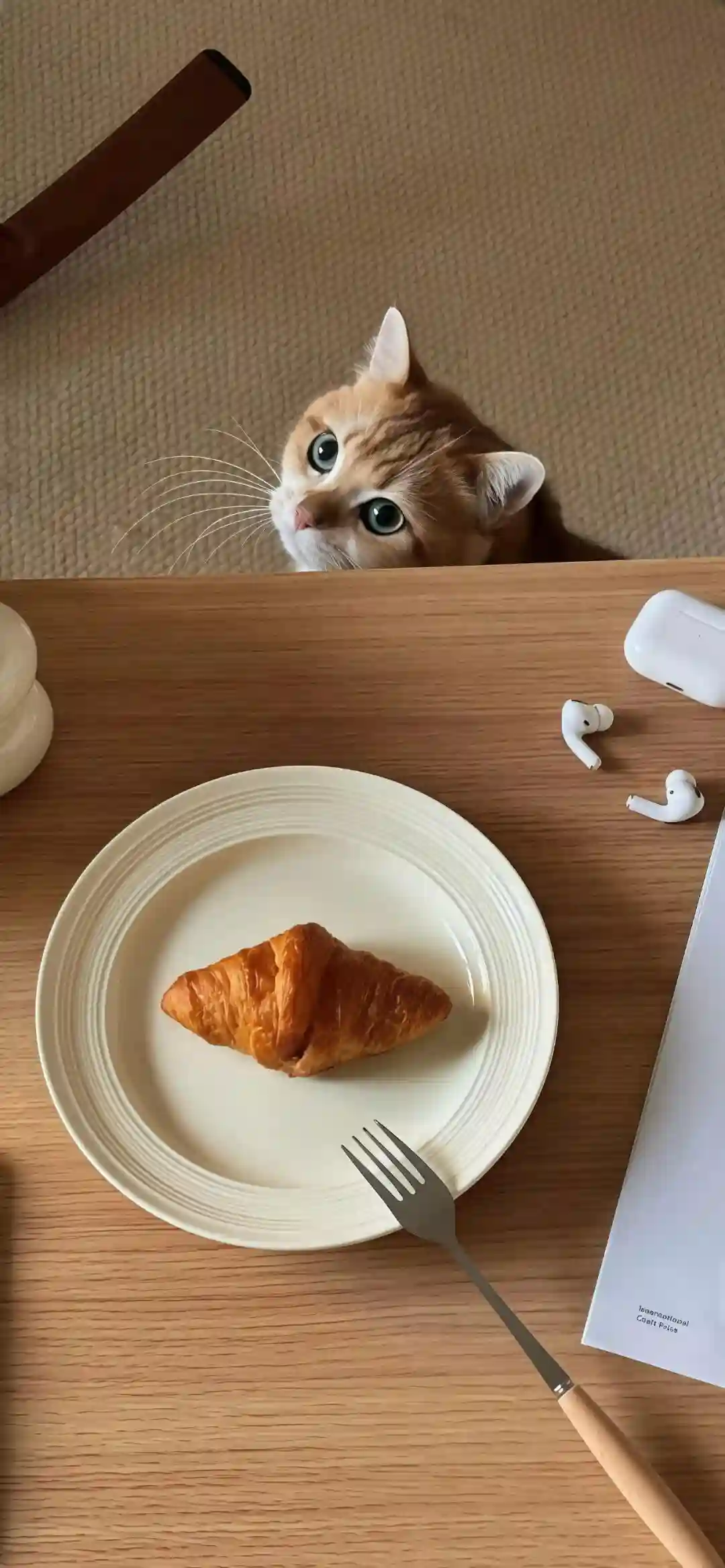 壁纸 ​​​​​​​​​​​​​| 4K全面屏超高清壁纸