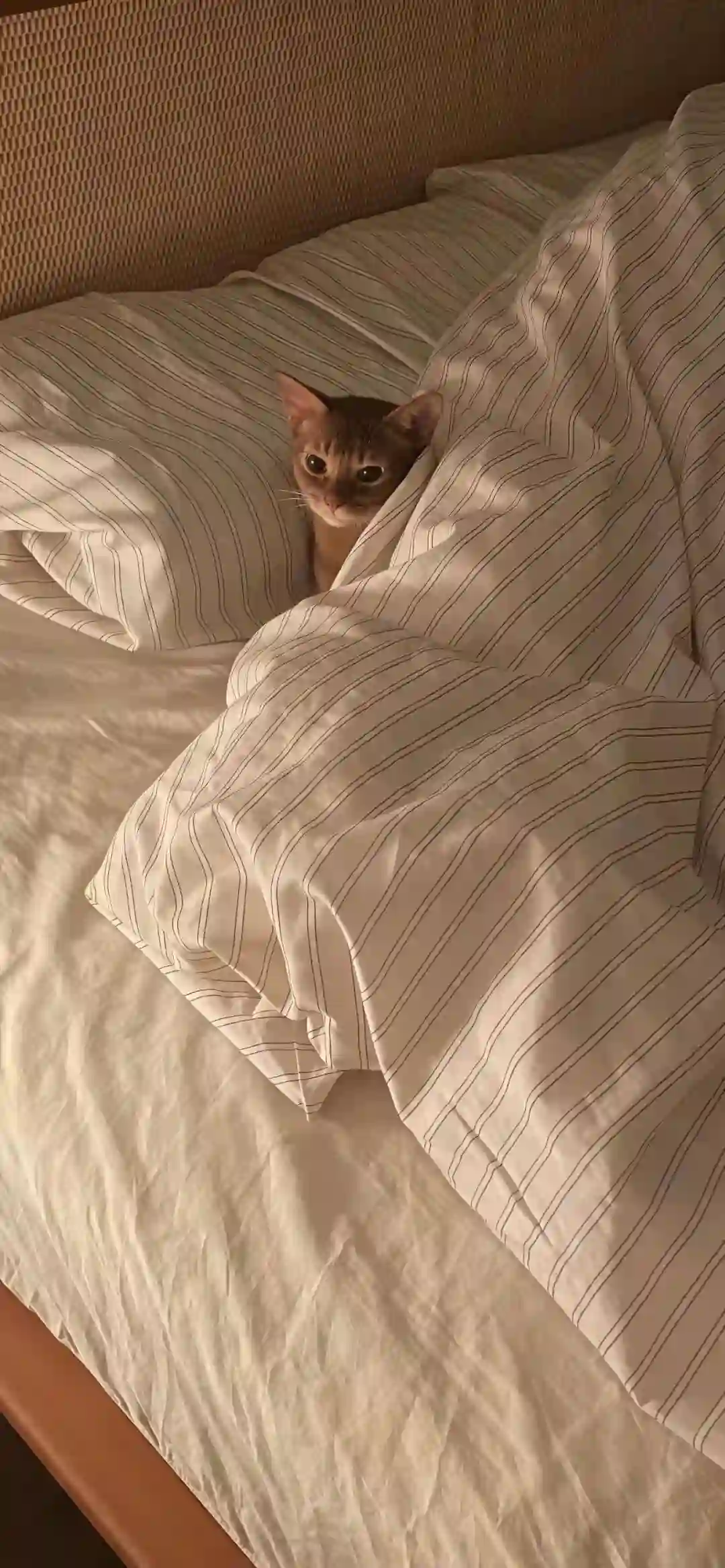 壁纸 ​​​​​​​​​​​​​| 4K全面屏超高清壁纸