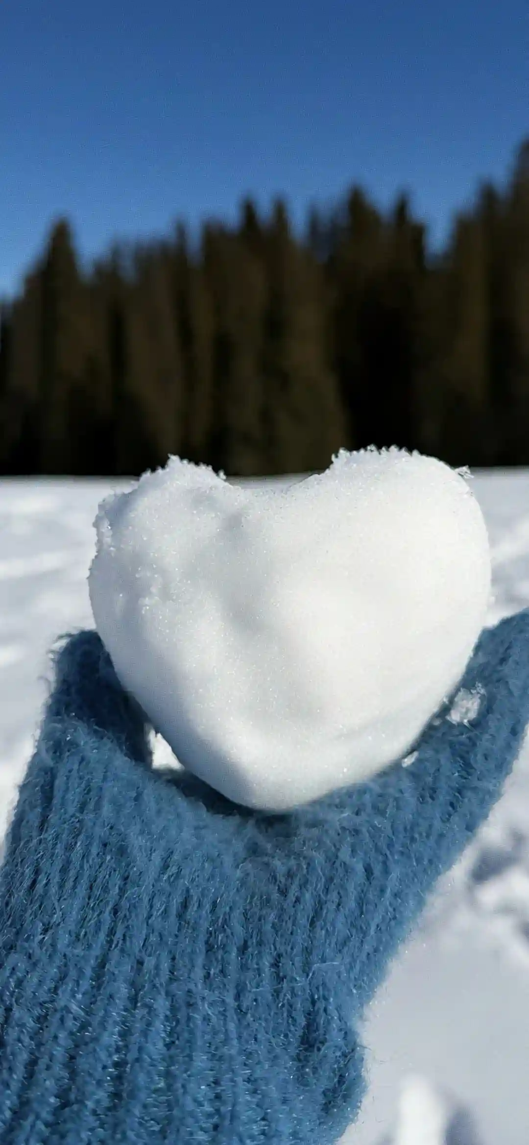 壁纸 ​​​​​​​​​​​​​| 4K全面屏超高清壁纸