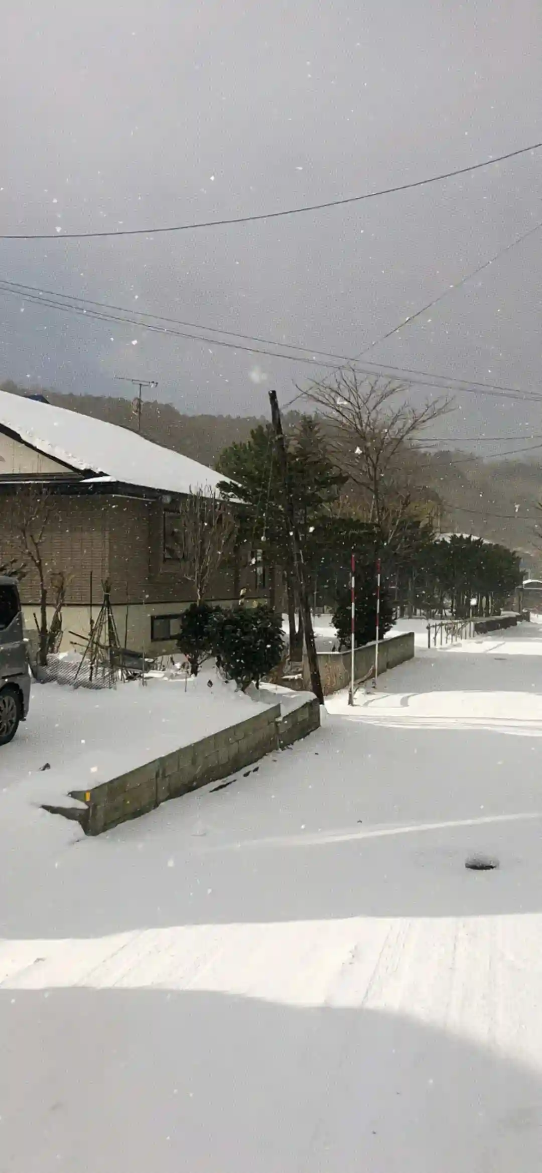 壁纸 ​​​​​​​​​​​​​| 4K全面屏超高清壁纸