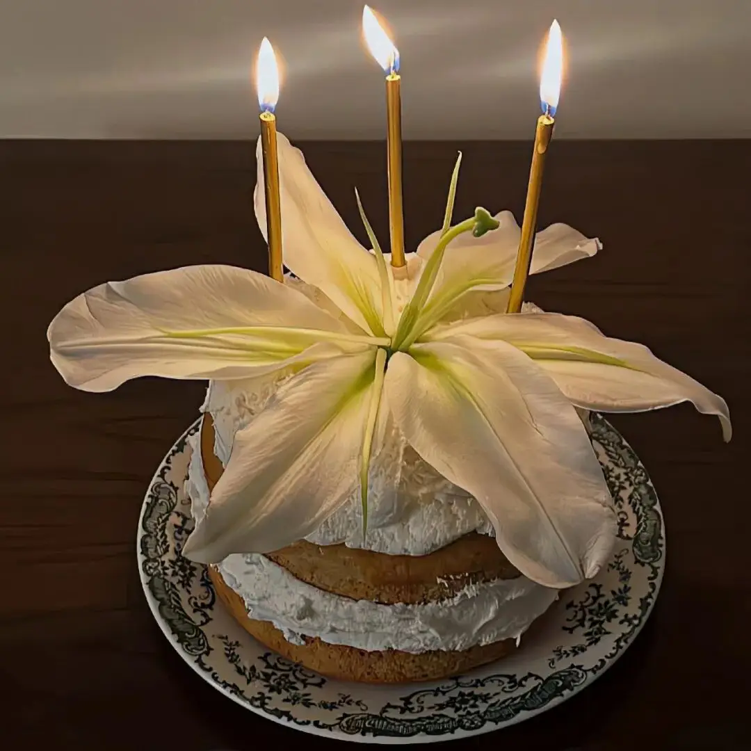 背景图 | 𝑾𝒆𝑪𝒉𝒂𝒕背景图