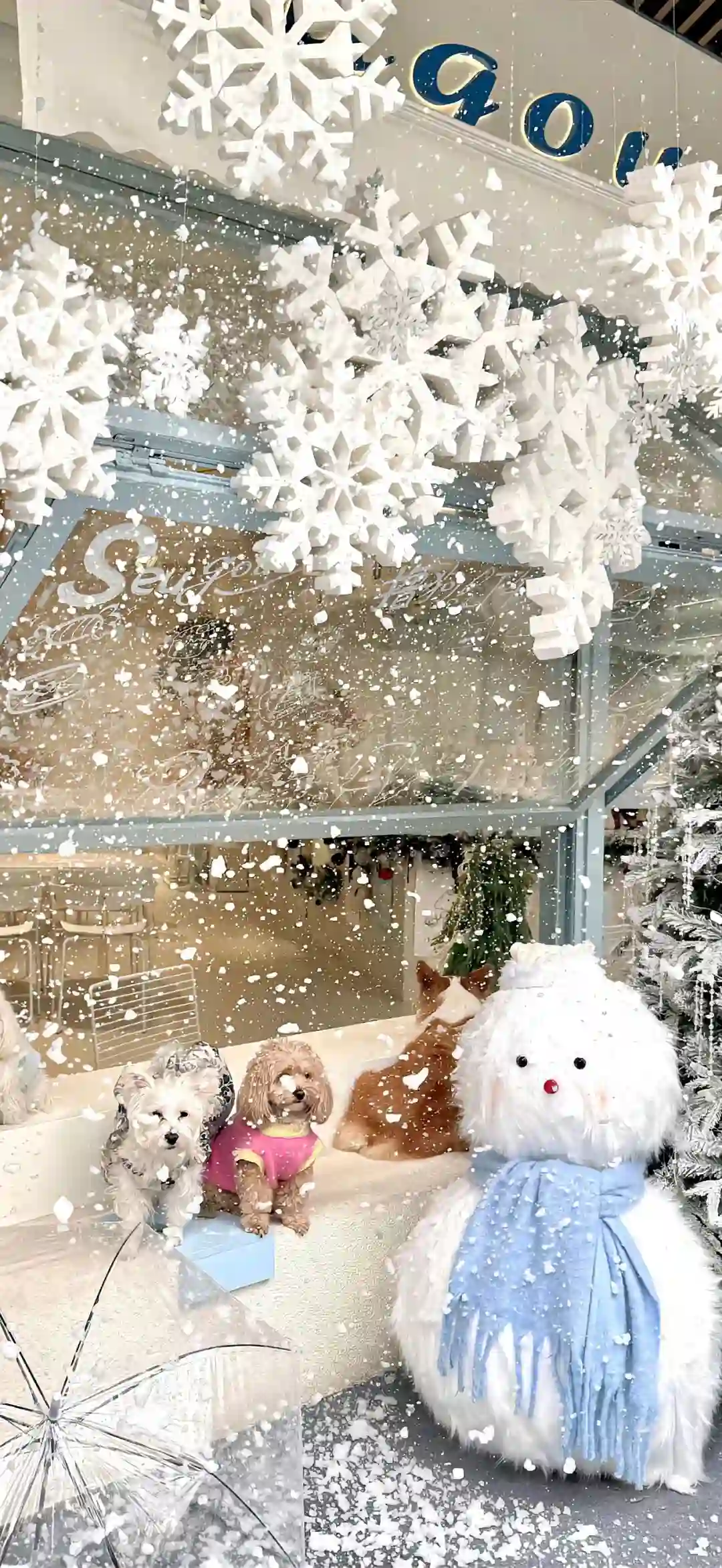 壁纸 ​​​​​​​​​​​​​| 4K全面屏超高清壁纸