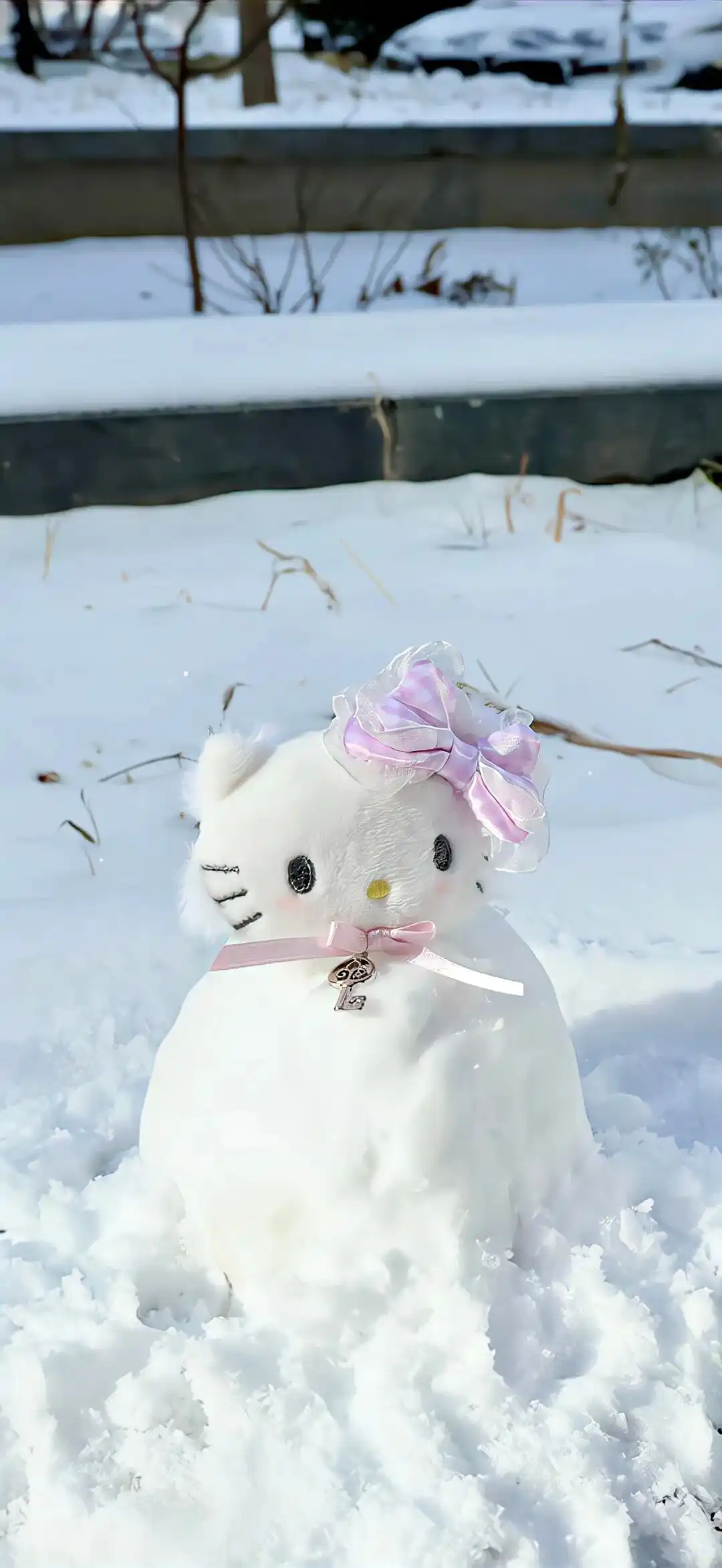 壁纸 ​​​​​​​​​​​​​| 4K全面屏超高清壁纸