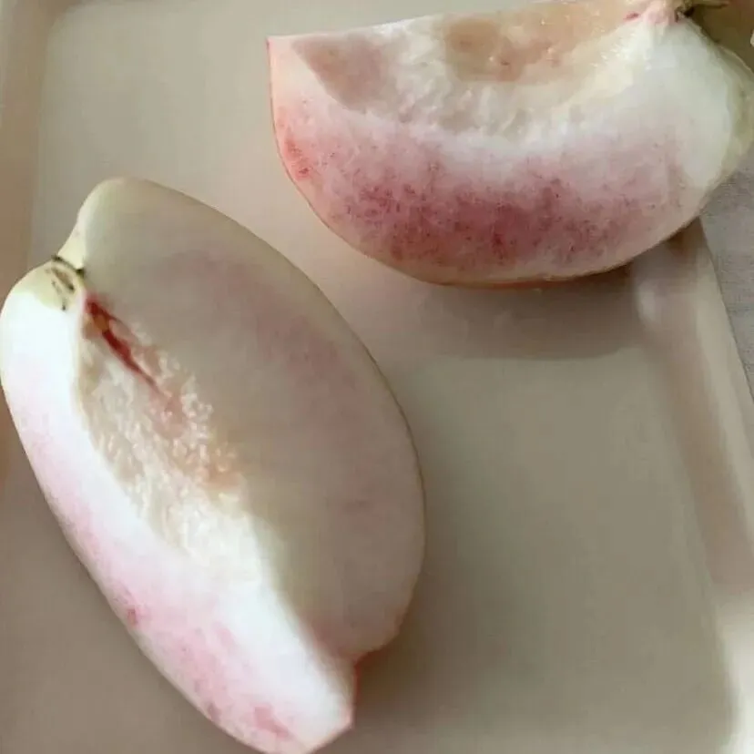 背景图 | 𝑾𝒆𝑪𝒉𝒂𝒕背景图