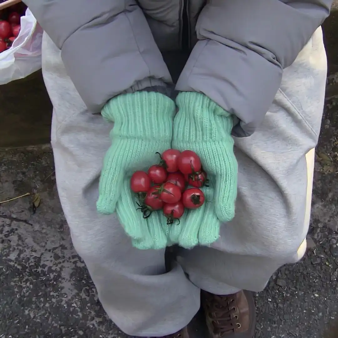 背景图 | 𝑾𝒆𝑪𝒉𝒂𝒕背景图