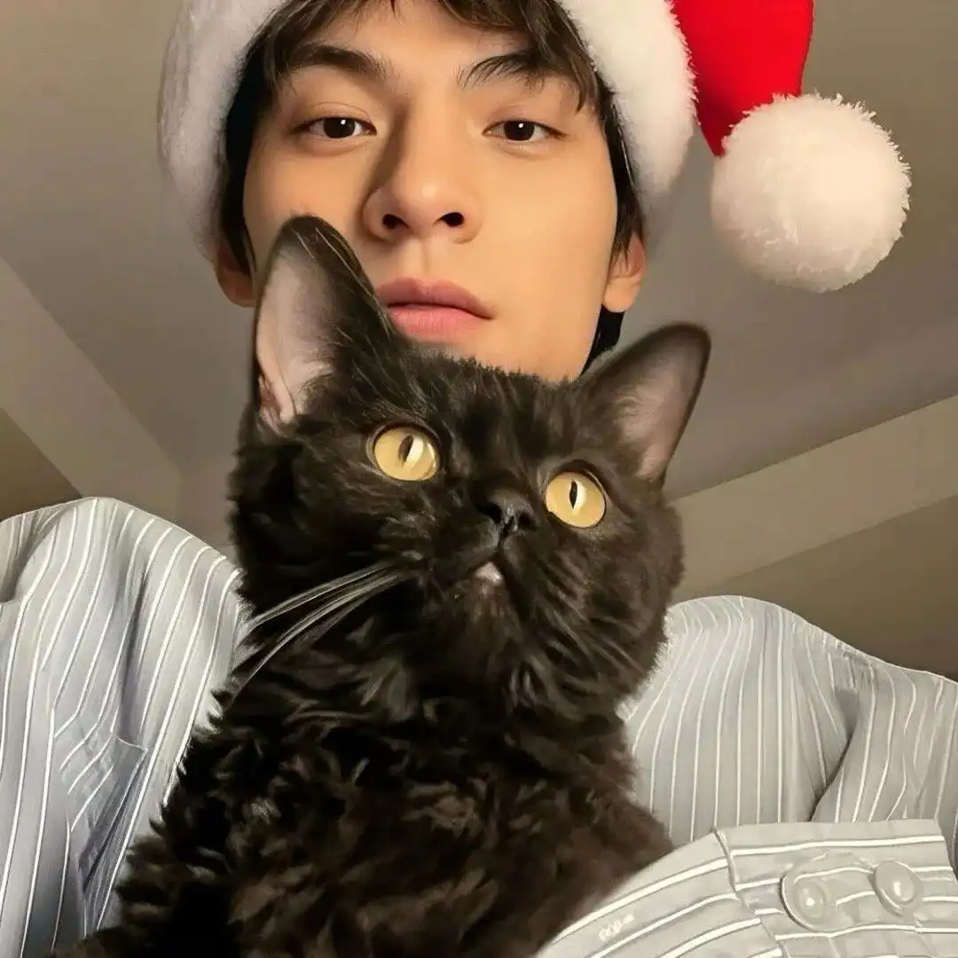 头像｜承包你的新微信头像