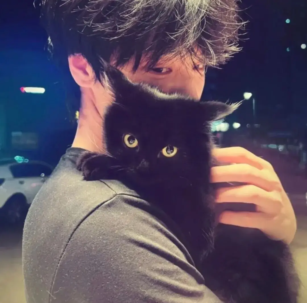 头像｜适合冬天用的头像