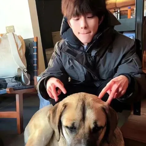 头像｜发现一些好看的头像