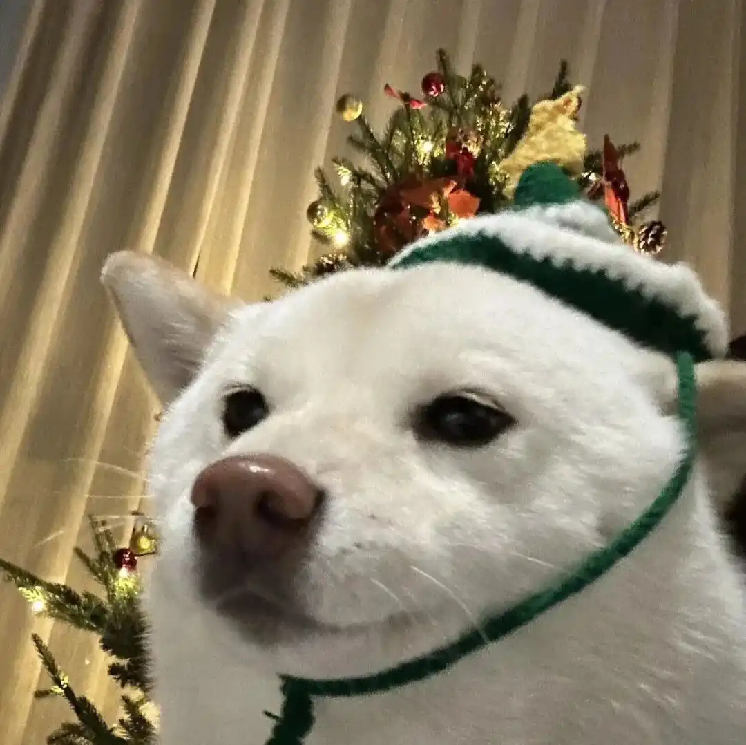 头像｜发现一些好看的头像