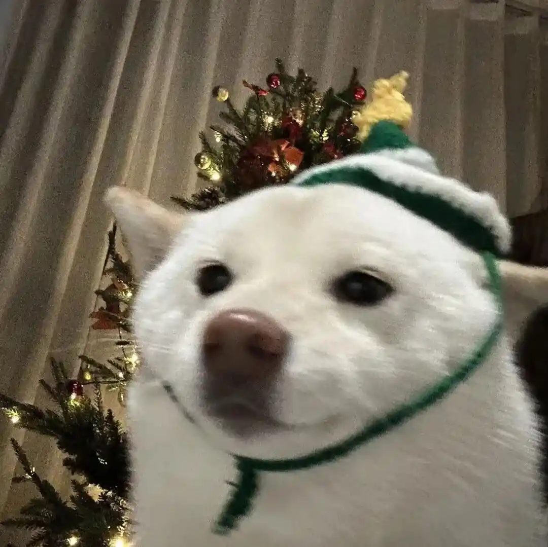 头像｜发现一些好看的头像