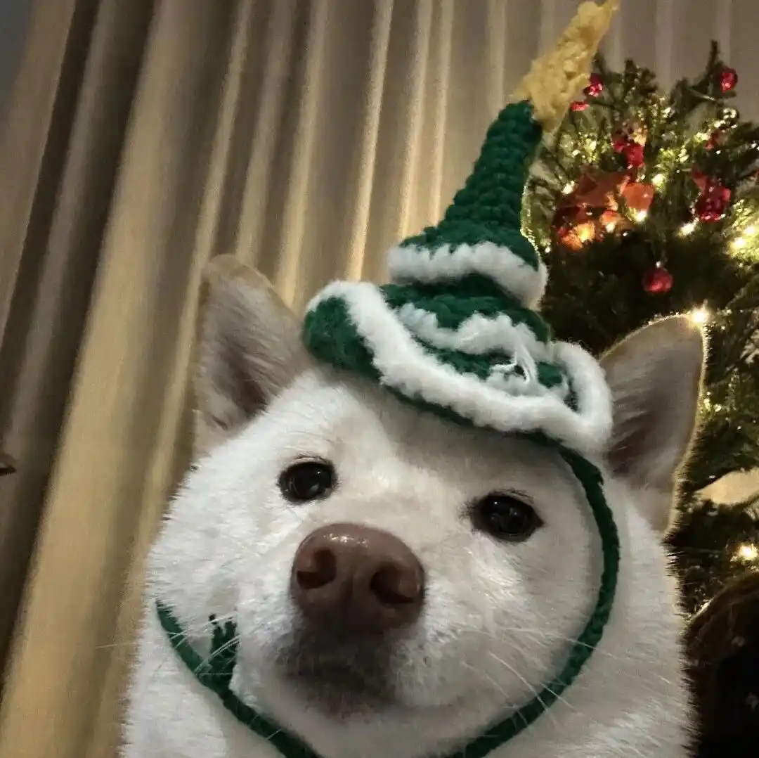 头像｜发现一些好看的头像