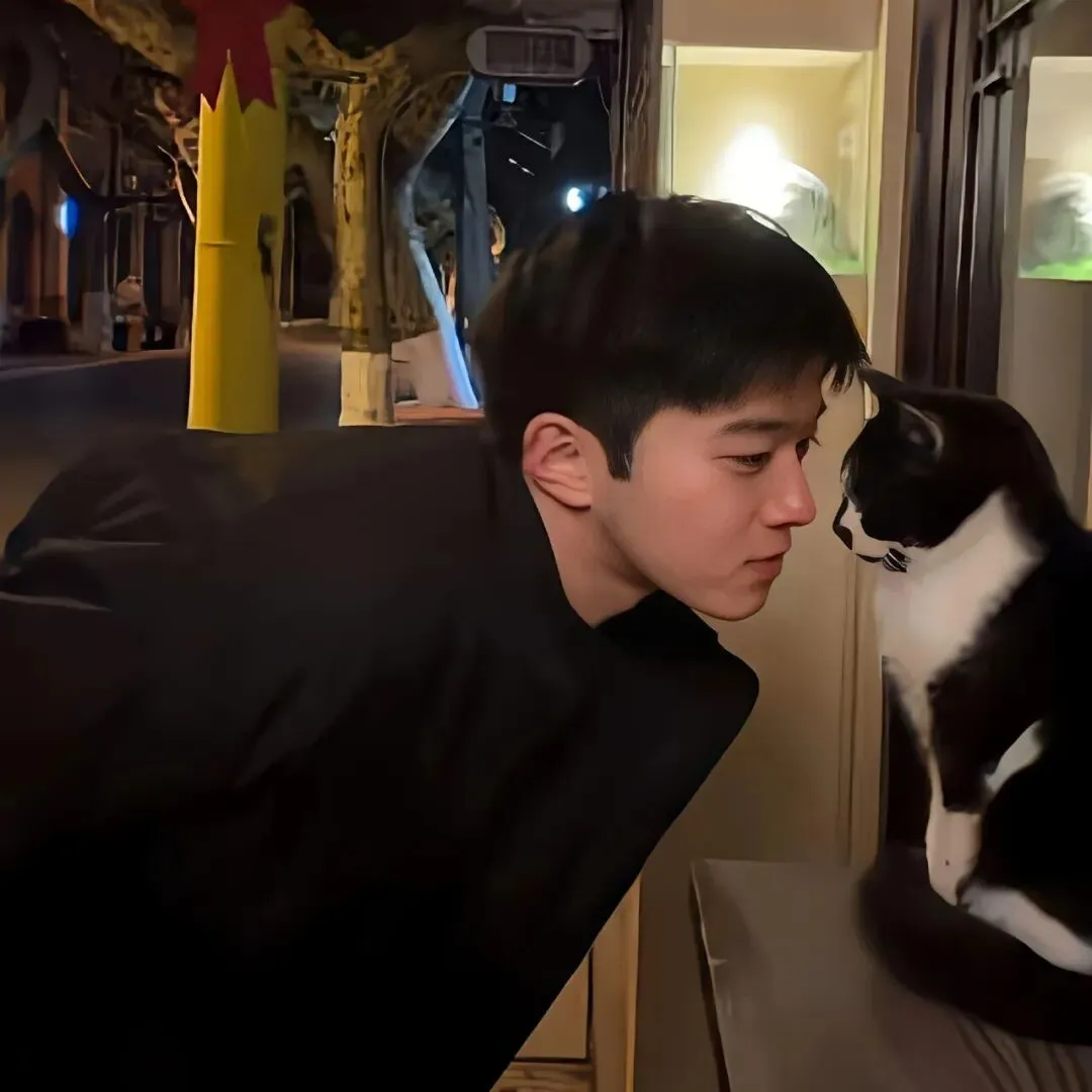 头像｜发现一些好看的头像