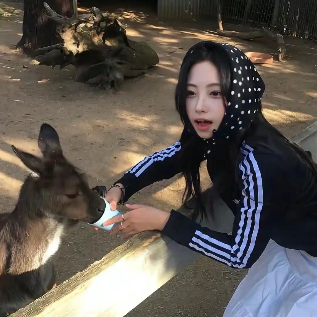 头像｜发现一些好看的头像