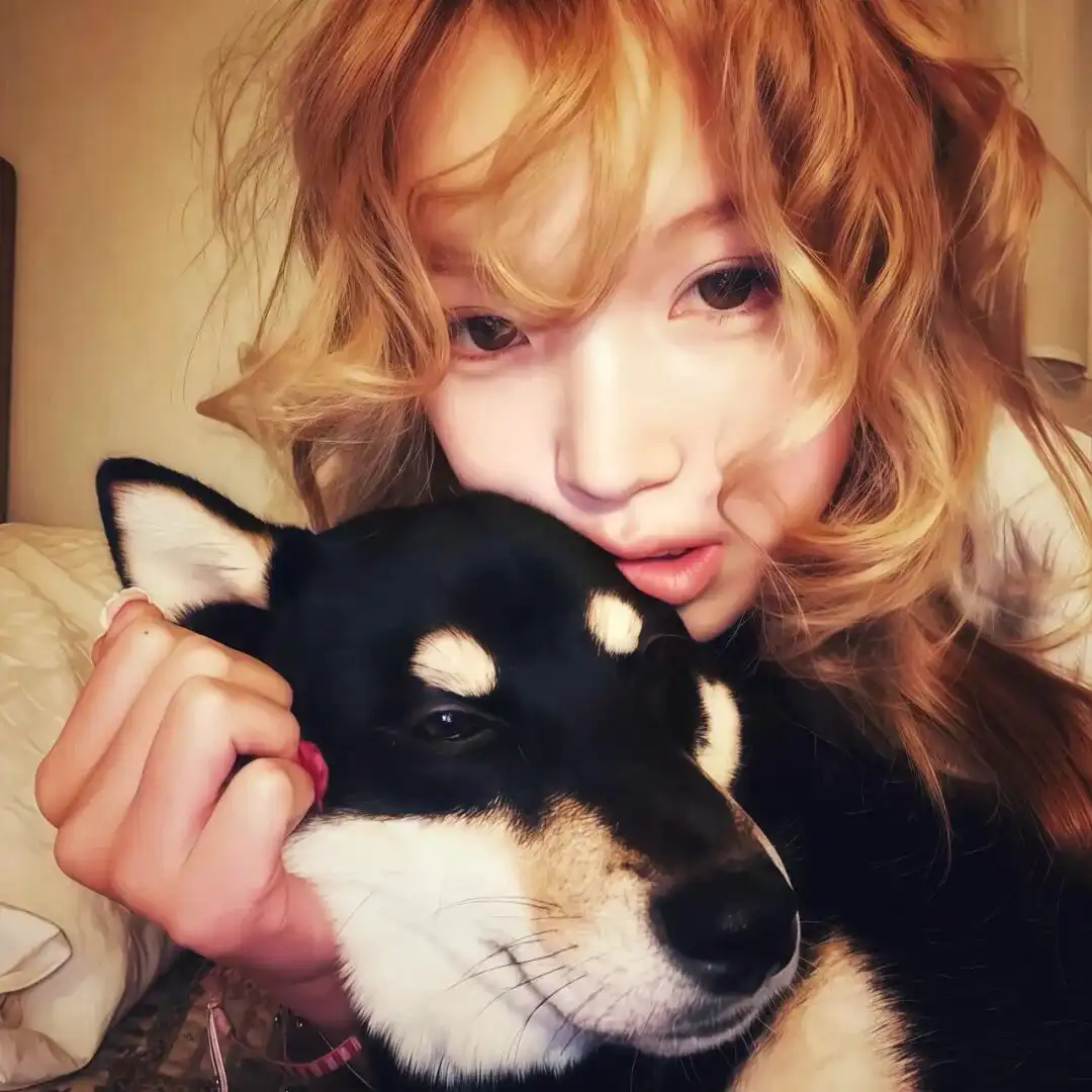 头像｜好看的头像来啦