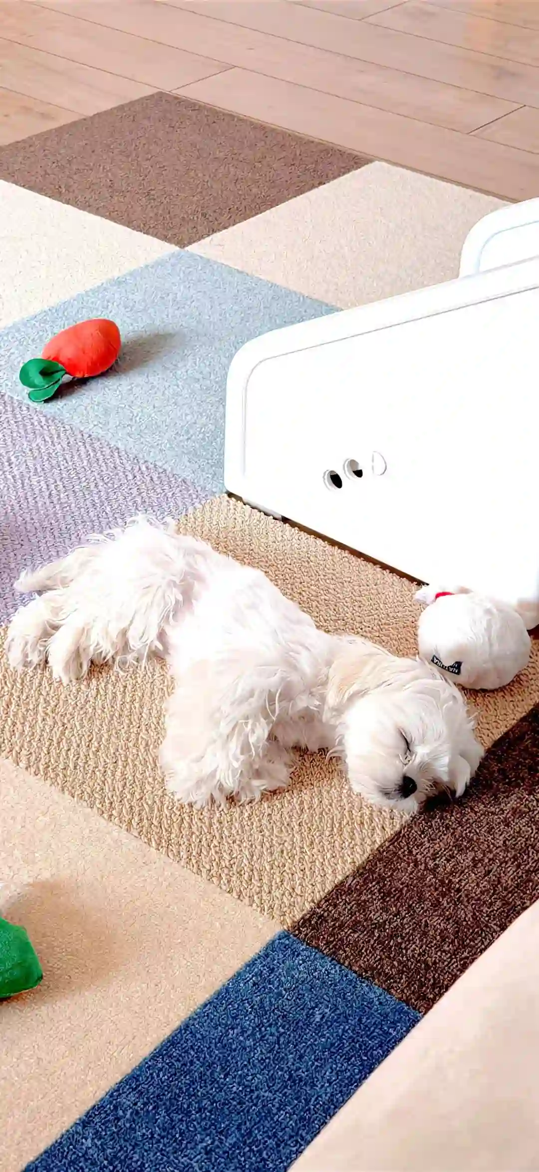 壁纸 ​​​​​​​​​​​​​| 4K全面屏超高清壁纸