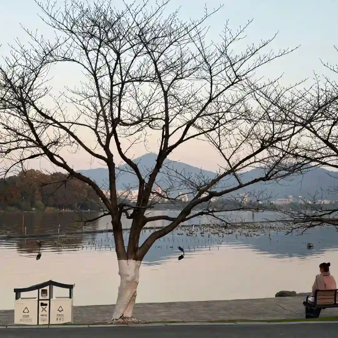 背景图 | 𝑾𝒆𝑪𝒉𝒂𝒕背景图