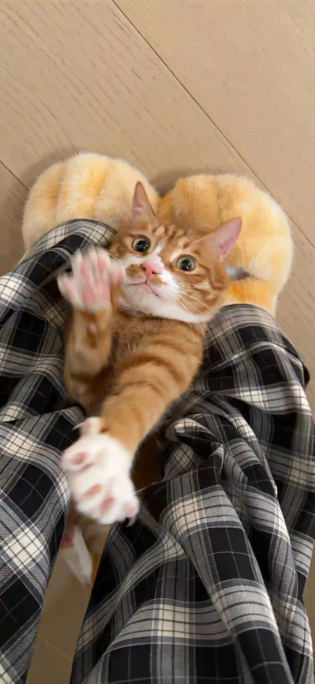 壁纸 ​​​​​​​​​​​​​| 4K全面屏超高清壁纸